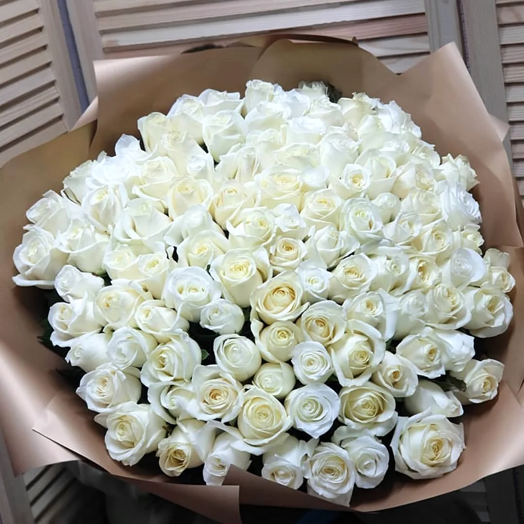 101 Белая роза Атена