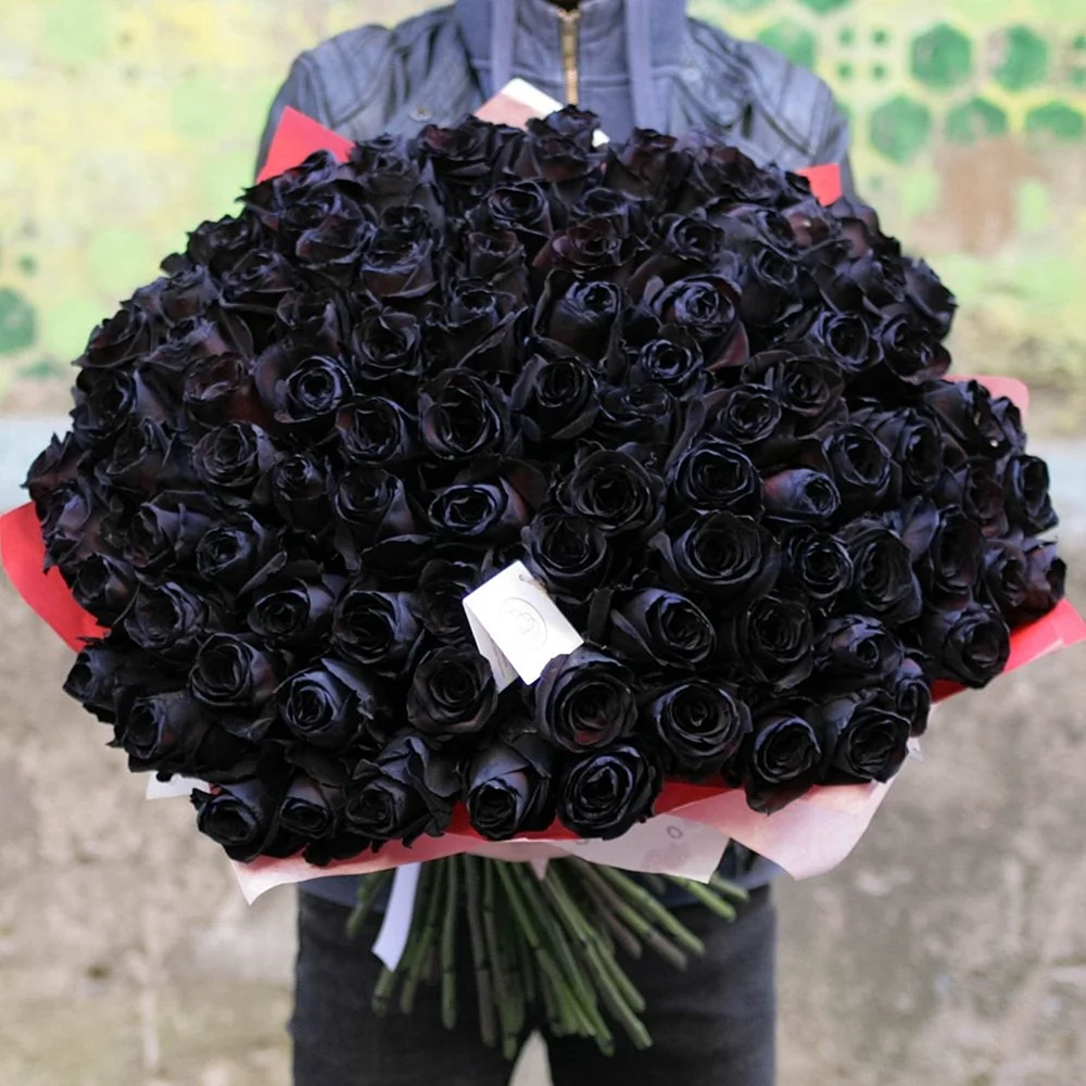 101 Черная роза