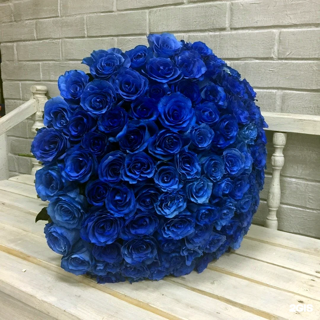 101 Синяя роза