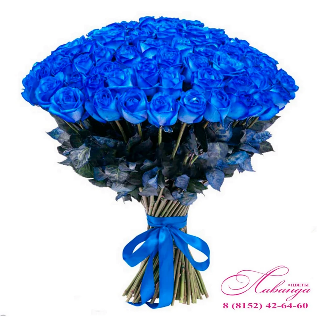 151 Синяя роза 70 см.