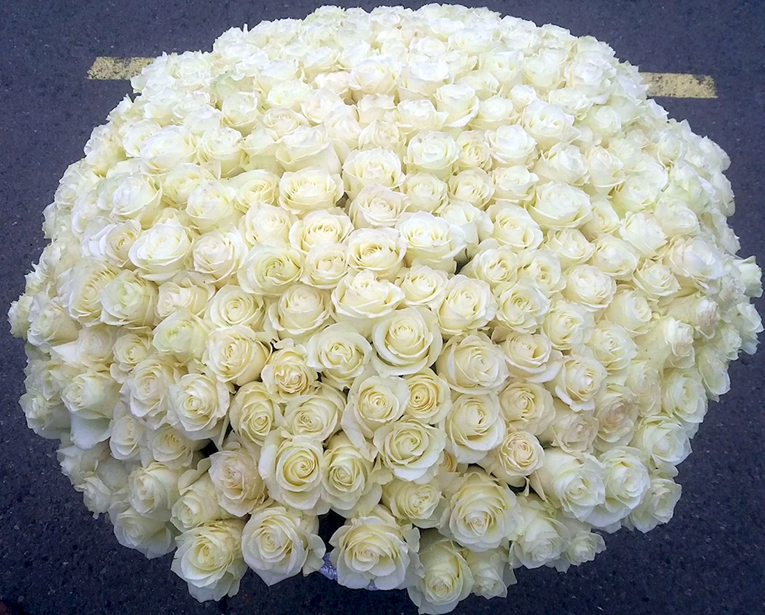 201 Роза 50 см