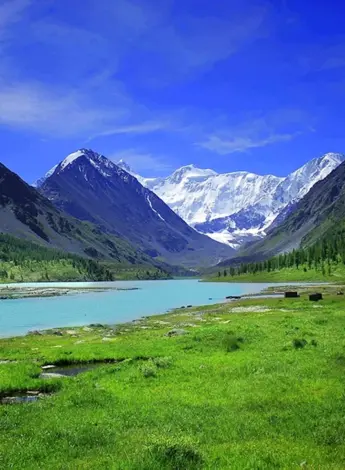 Алтайский край горный Алтай