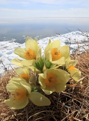 Байкал Листвянка весной