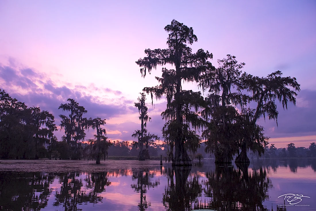 Бассейн Атчафалайа Луизиана