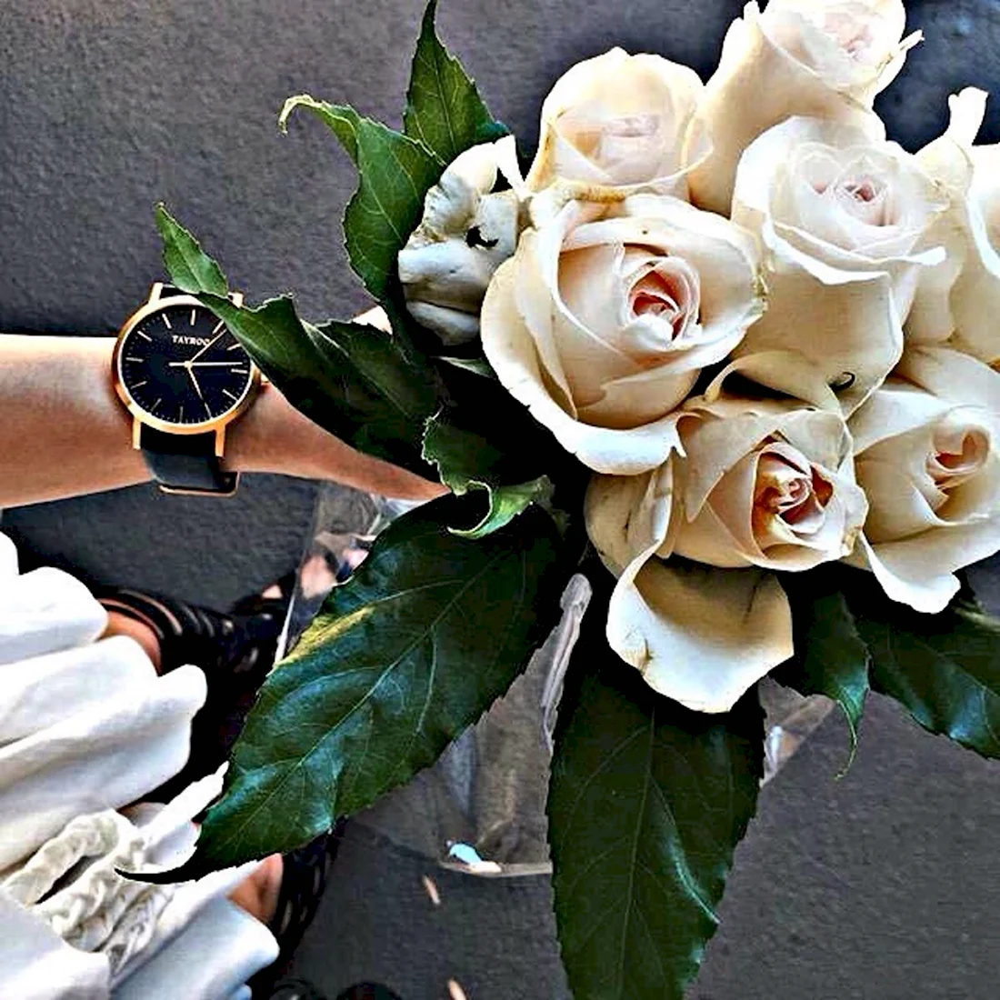 Белая роза в руке