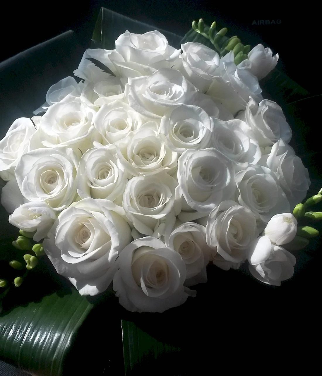 Белые длинные розы