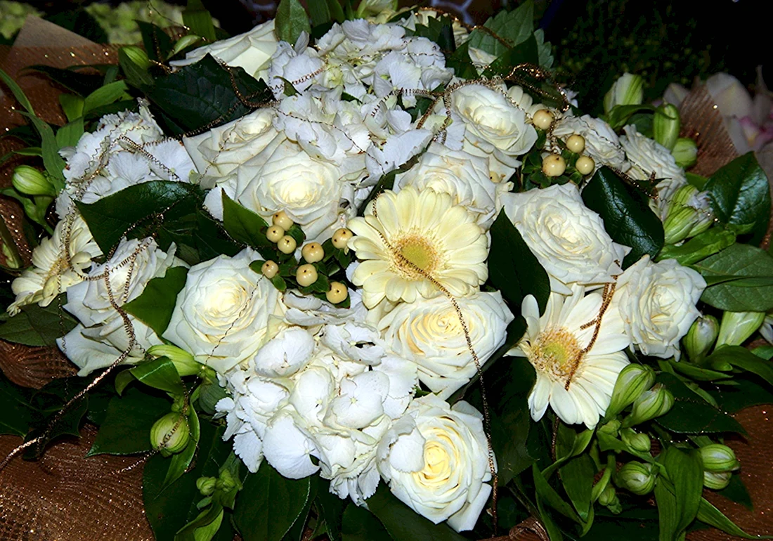 Белые розы букет Естественные