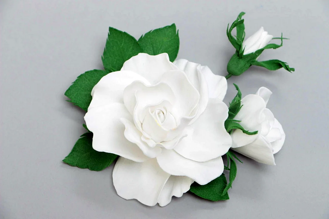 Белые цветы из фоамирана