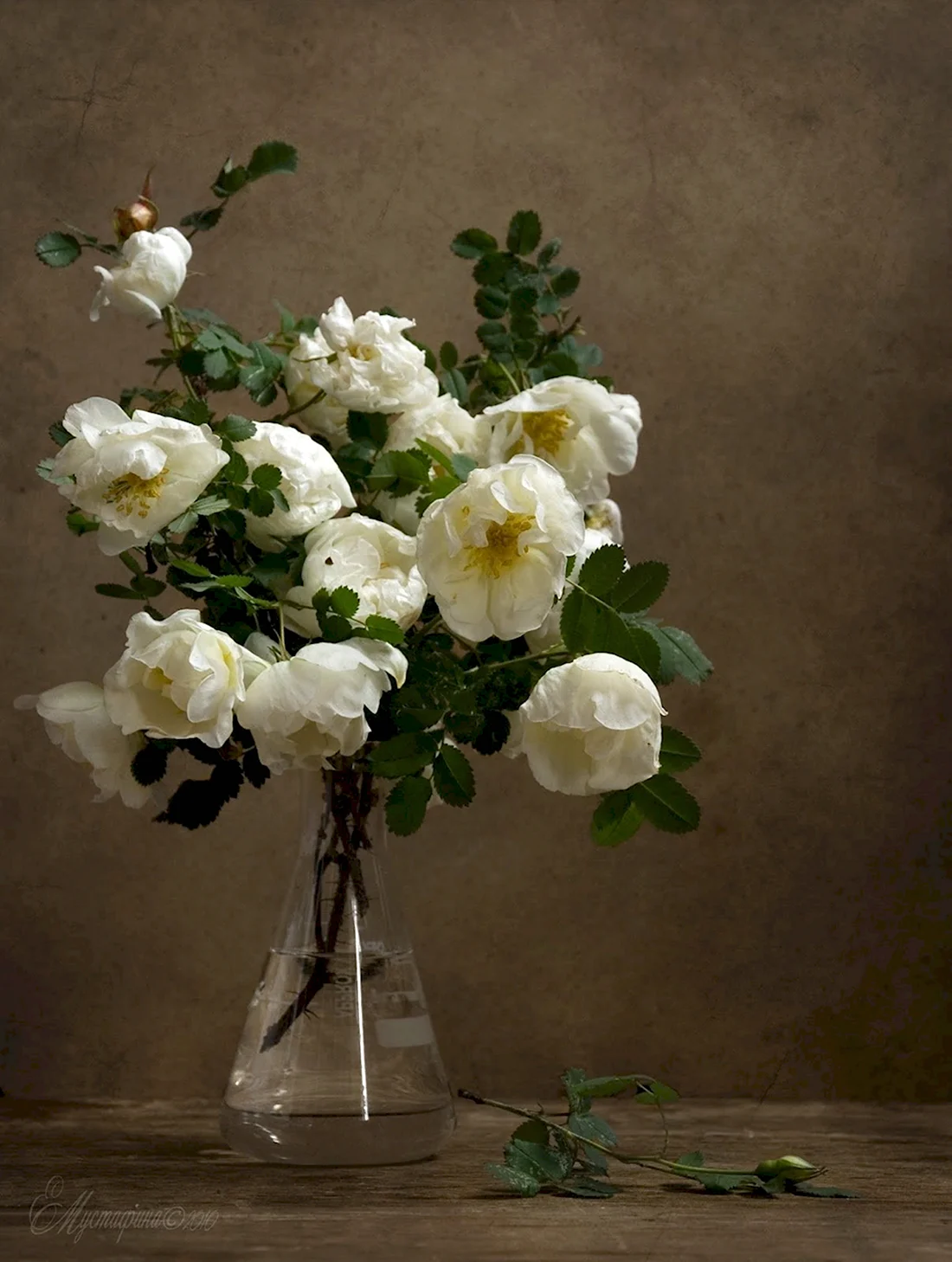Белые цветы в вазе