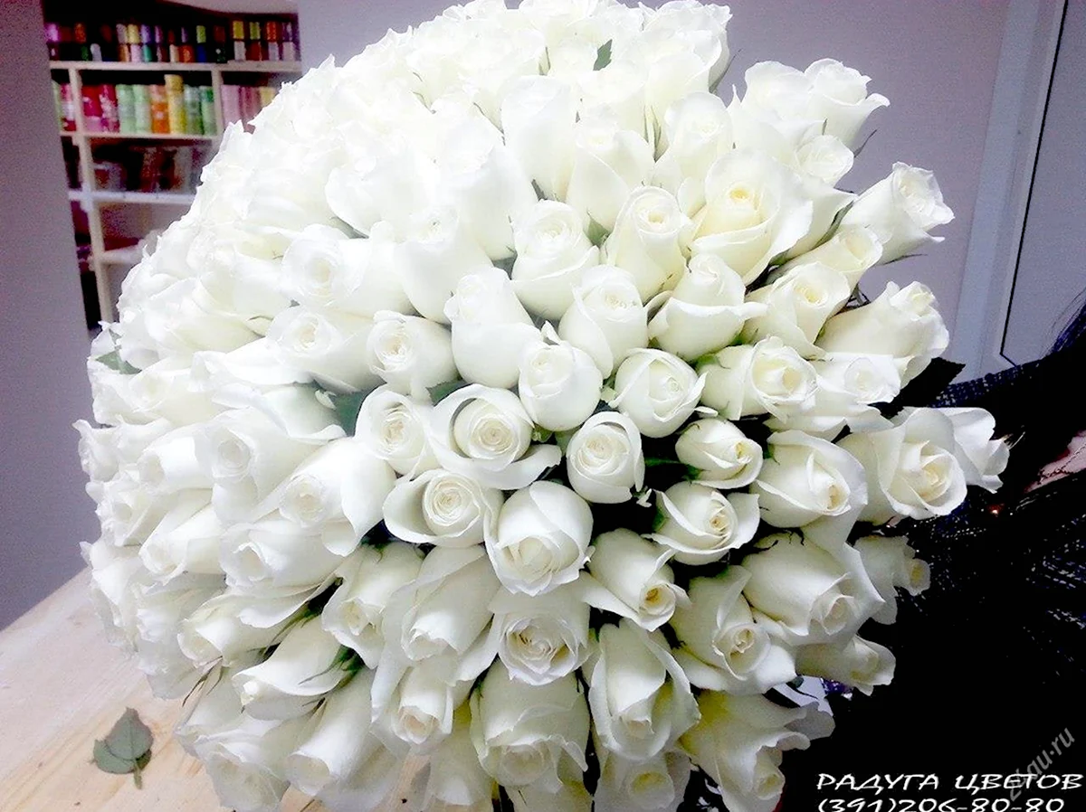 Большие букеты белых роз