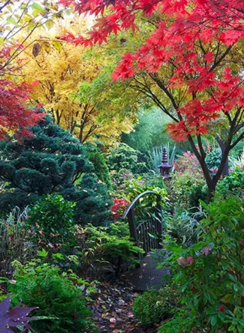 Ботанический сад Ван Дусена