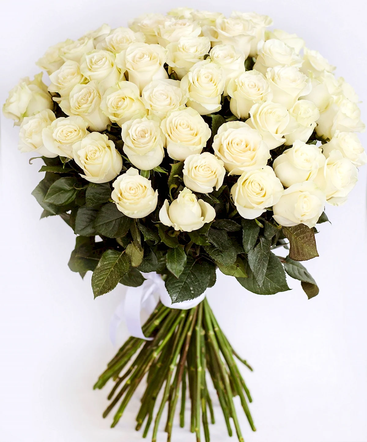 Букет 51 белая роза 60см