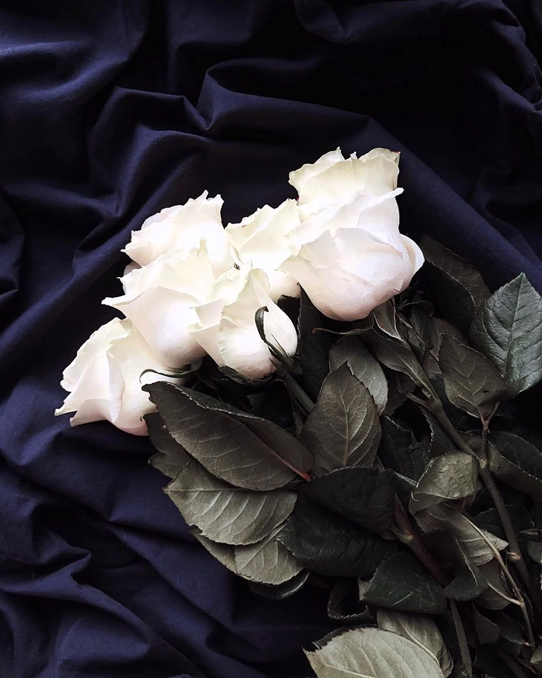 Букет белых роз Эстетика