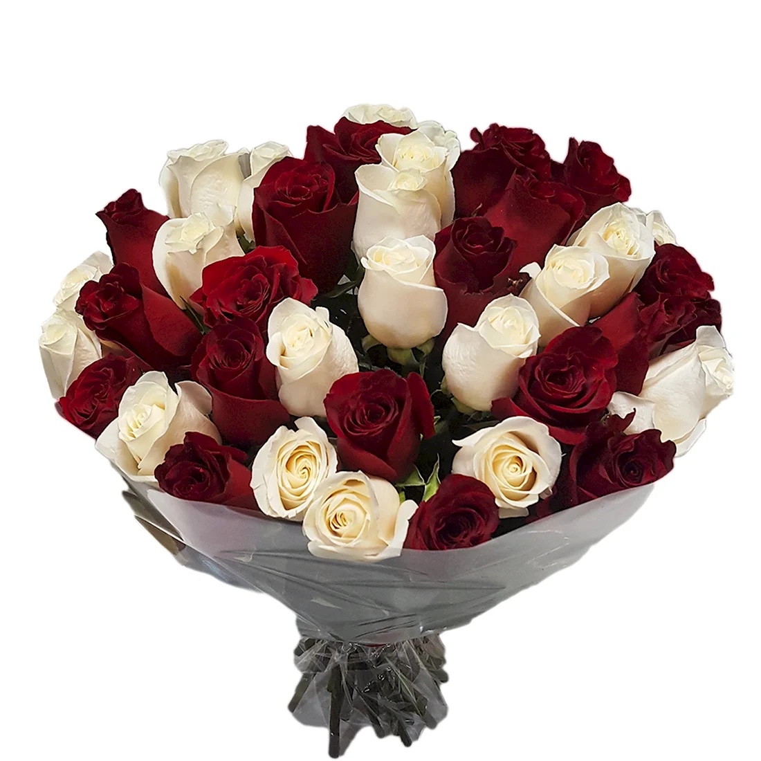 Букет из 25 роз красных и белых роз