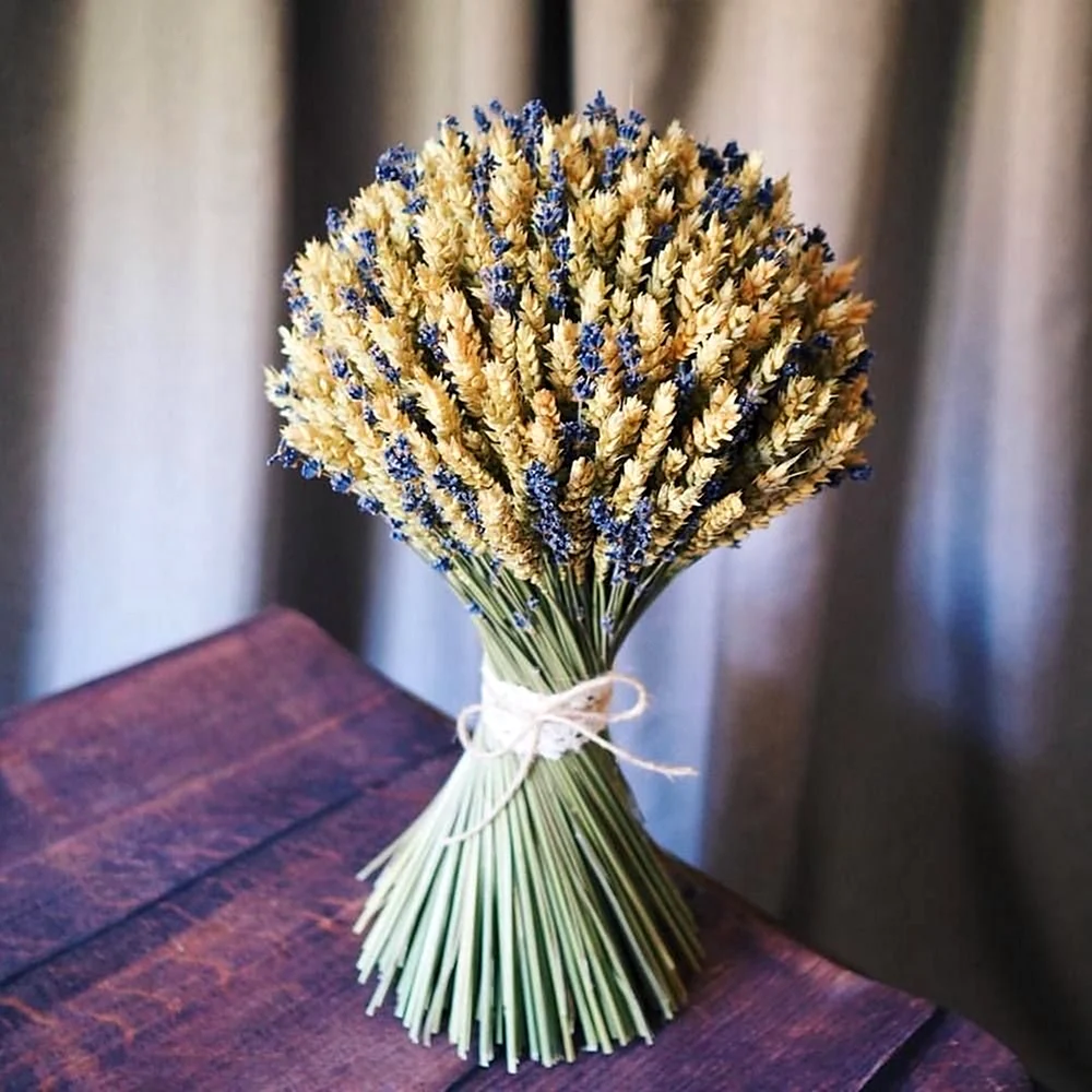 Букет сухоцветов пшеница лагурус