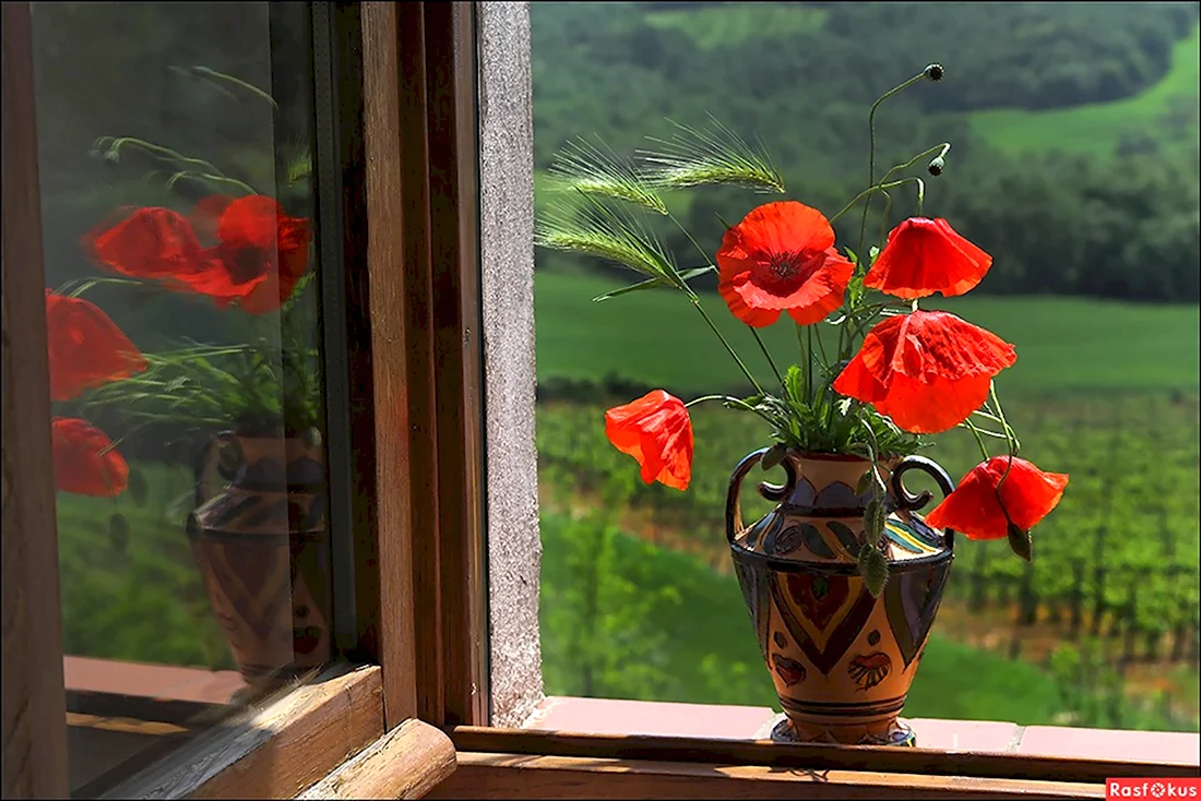 Букет цветов на окне