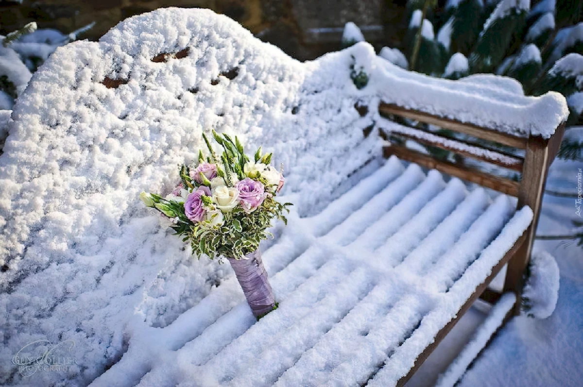 Букет цветов на снегу