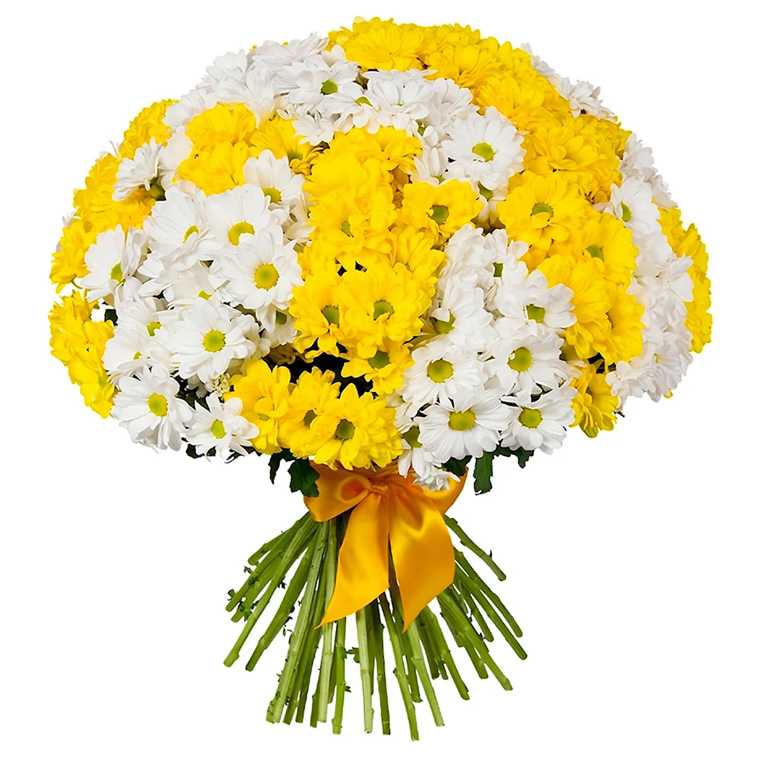 Букет желто-белые хризантемы