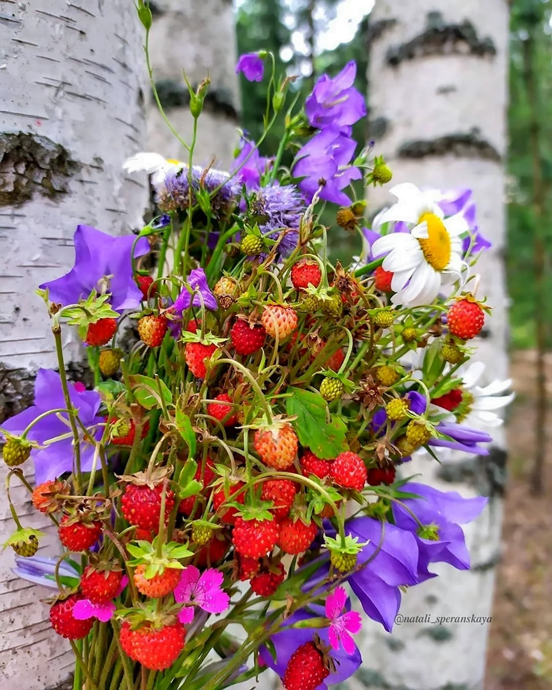 Букетик лесных цветов