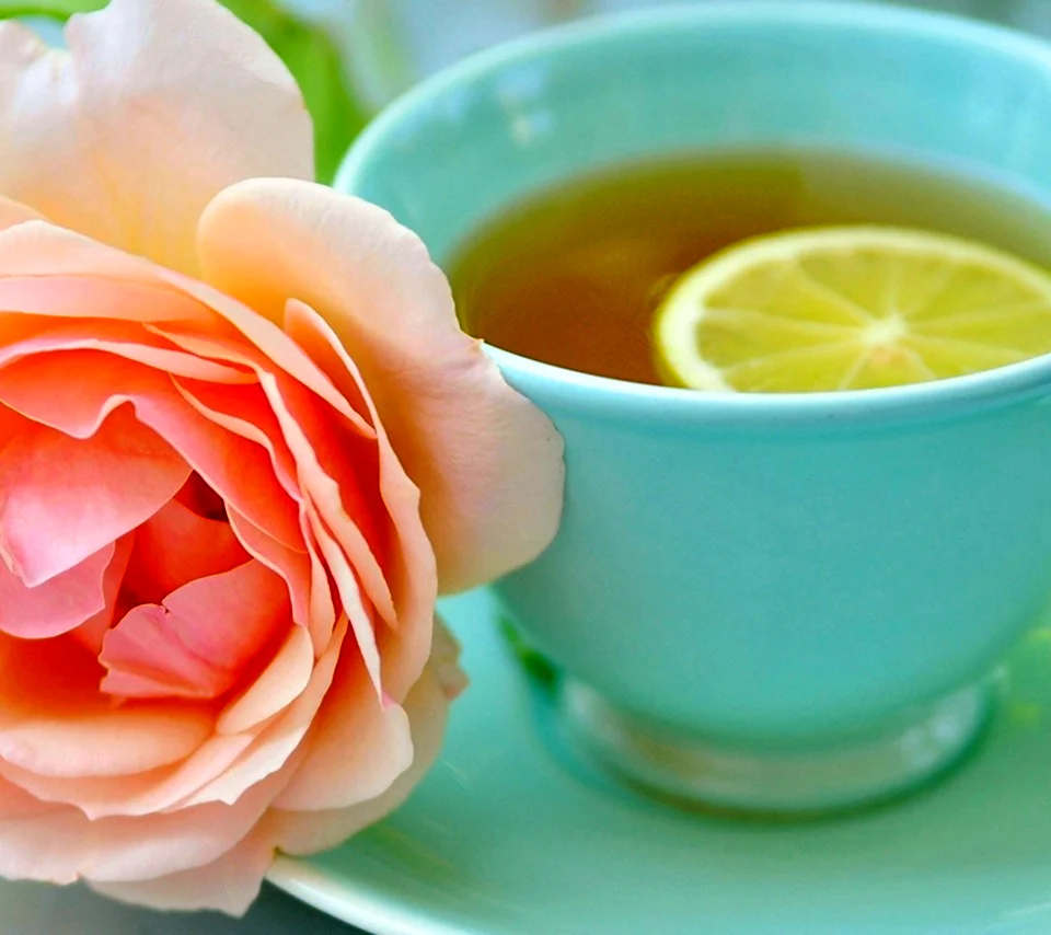 Чайная роза чай