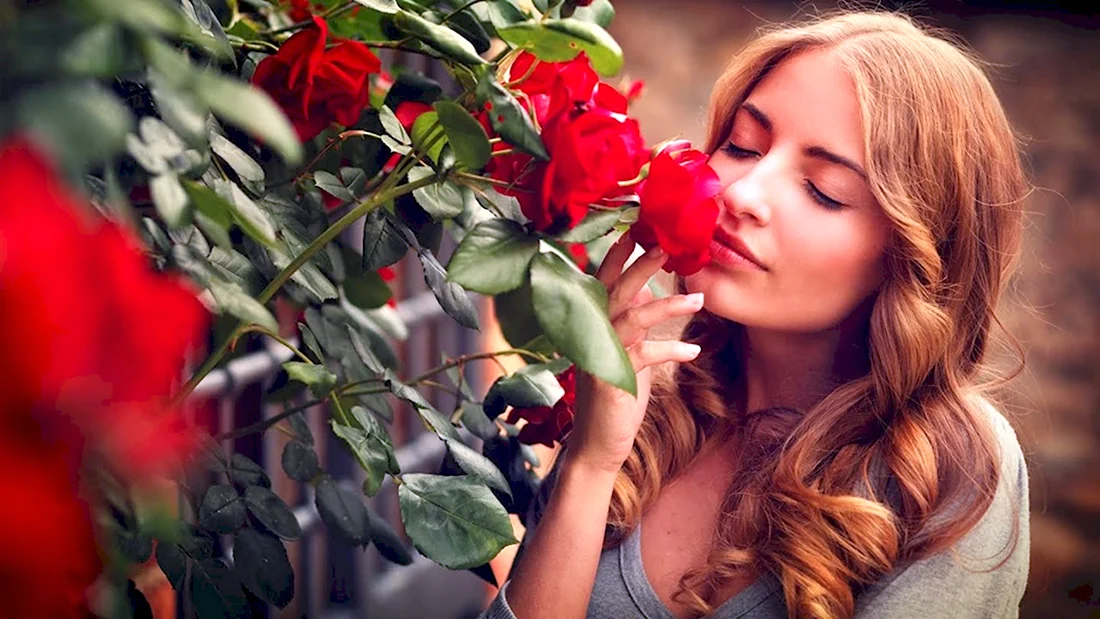 Девушка нюхает розу