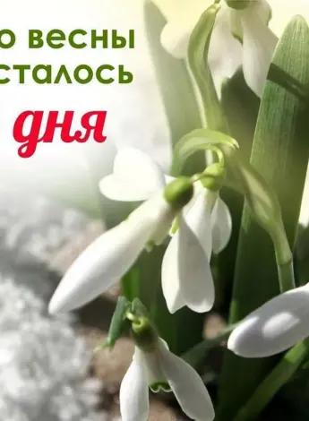 До весны осталось