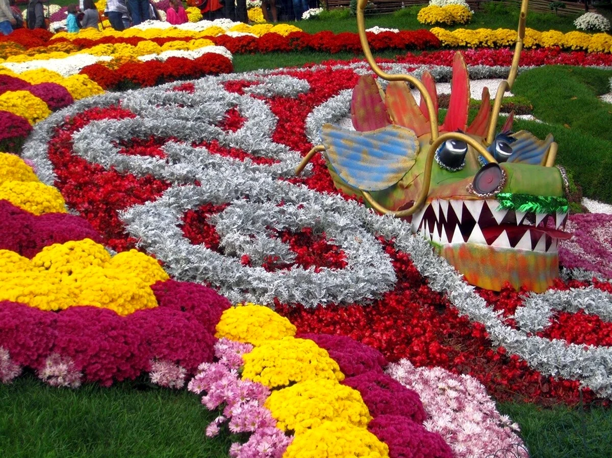 Фестиваль хризантем в Японии