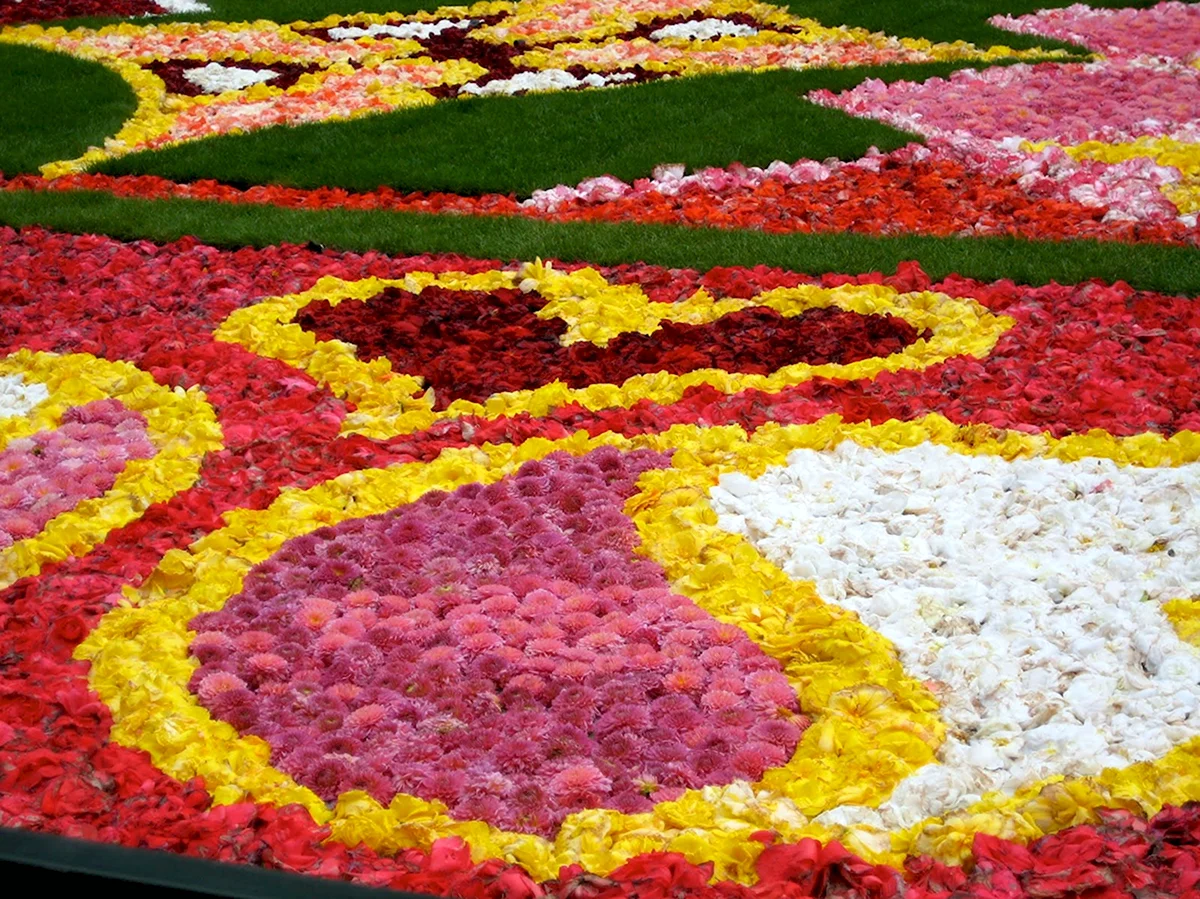 Фестиваль цветочный ковер Flower Carpet Брюссель Бельгия.