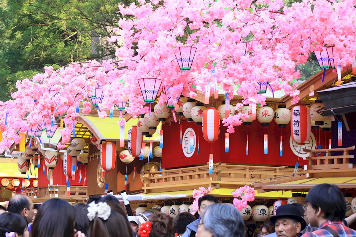 Фестиваль цветов хана Мацури в Японии
