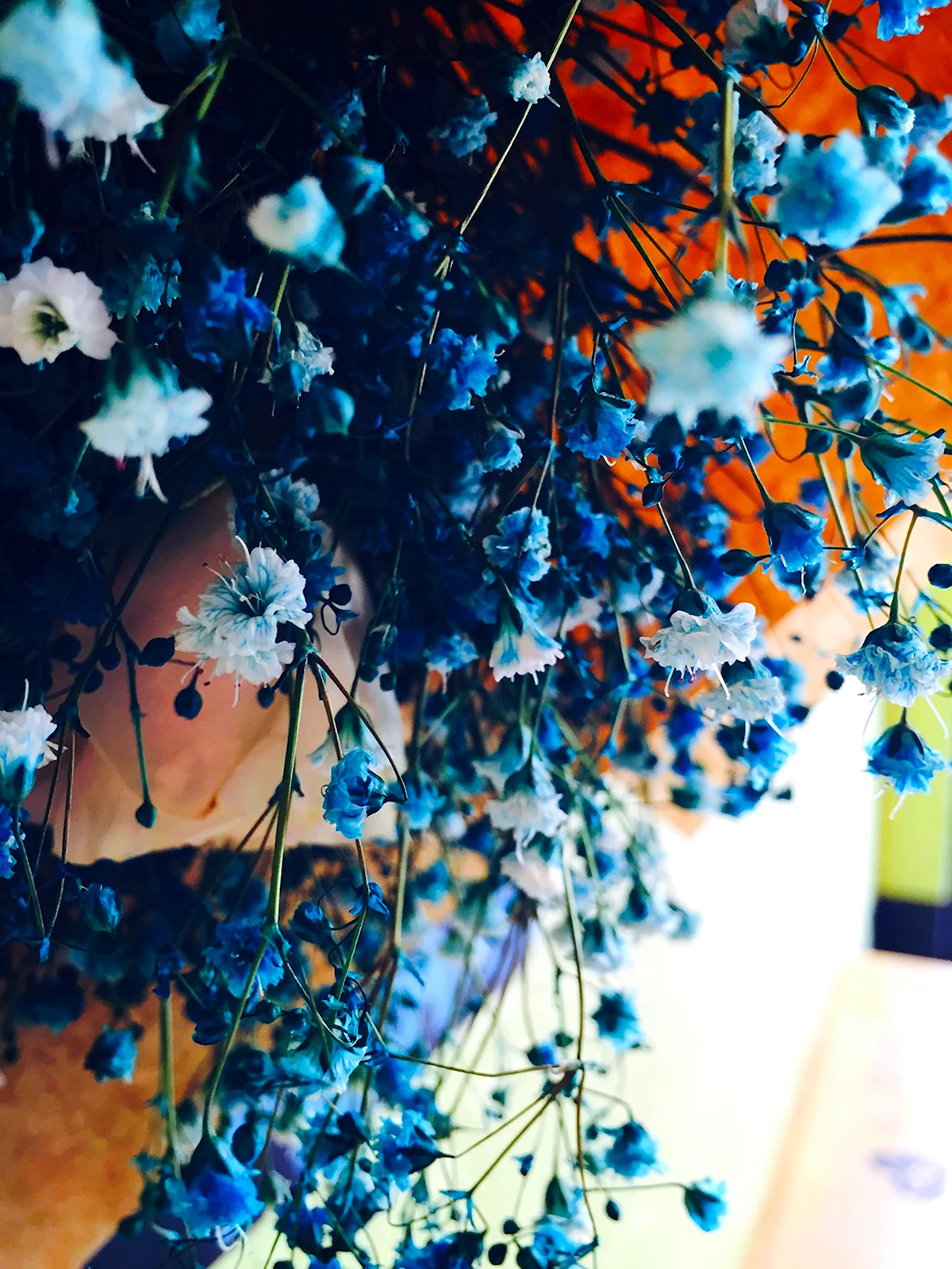 Голубые цветы Эстетика