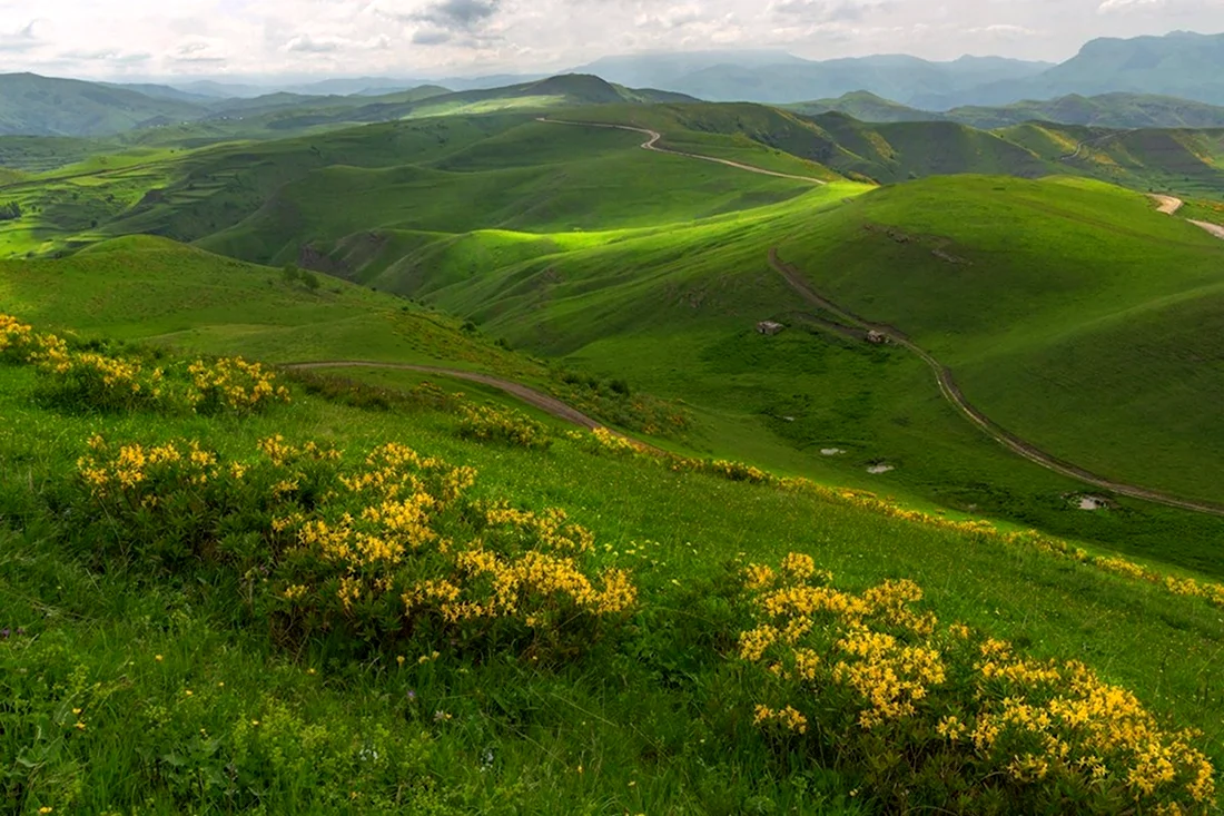 Горы Дагестана Луга