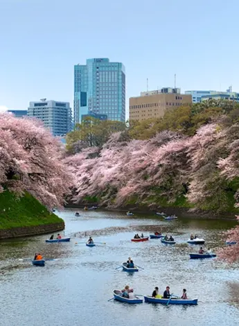 Япония весной Токио