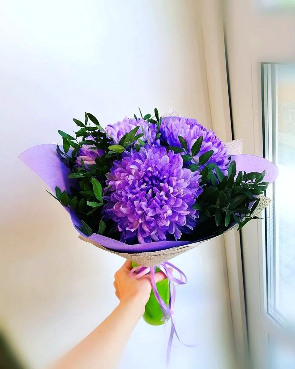 Хризантема одноголовая фиолетовая букет