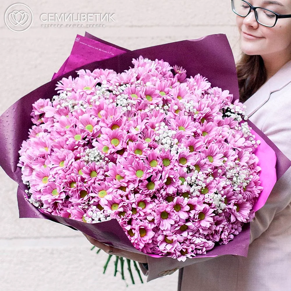 Хризантемы с гипсофилой розовыми букет