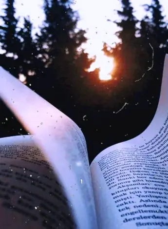 Книги Эстетика