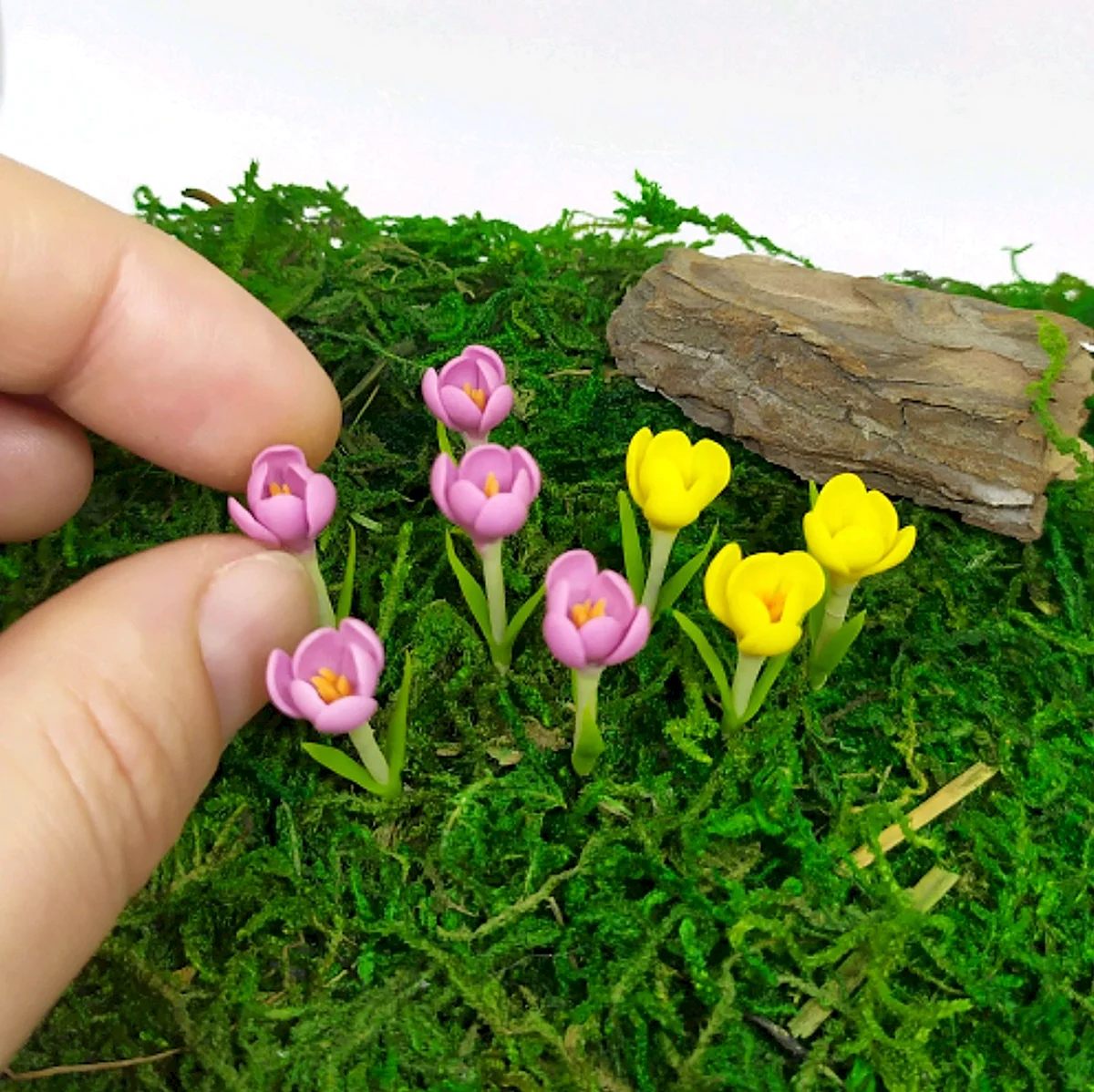 Красивые миниатюрные цветы