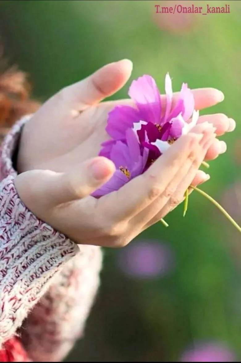 Красивые цветы в руках