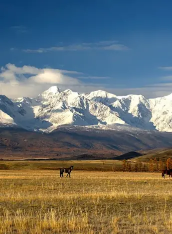 Курайская степь горный Алтай
