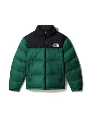 Куртка the North face 1996 Retro Nuptse