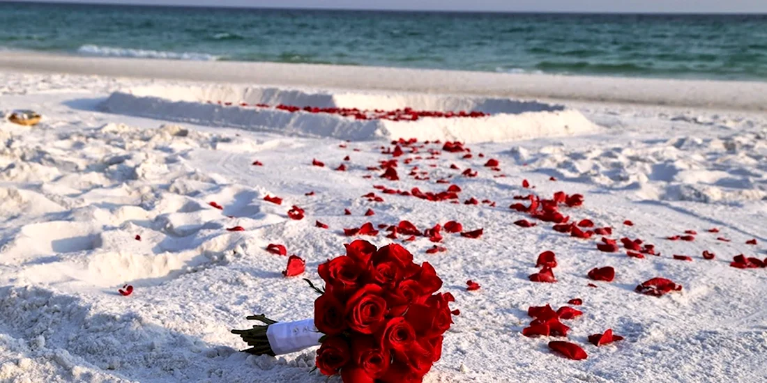 Лепестки роз на песке