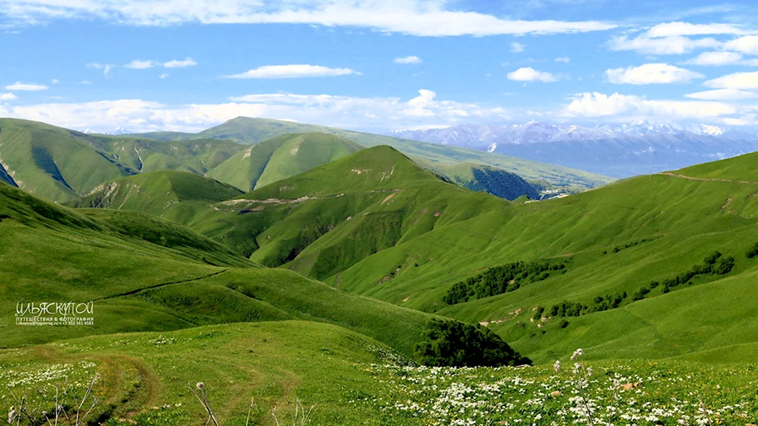 Луга Дагестана Альпийские Дагестана