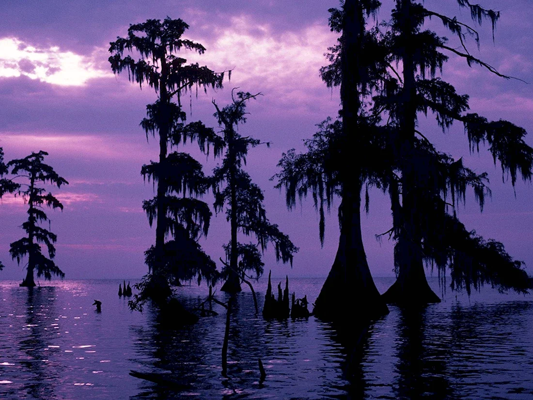 Луизиана Южная Готика