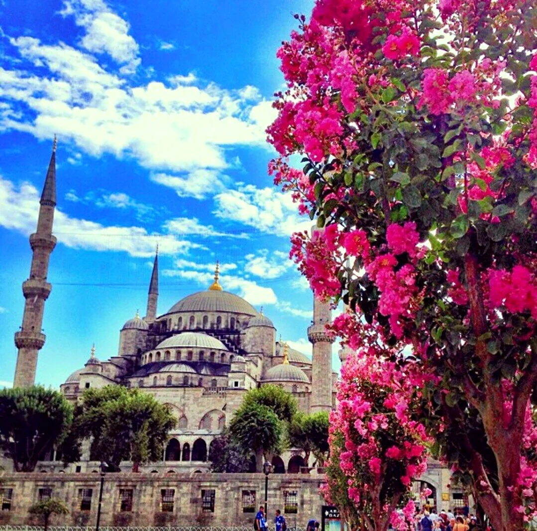 Мечеть Стамбула Весна