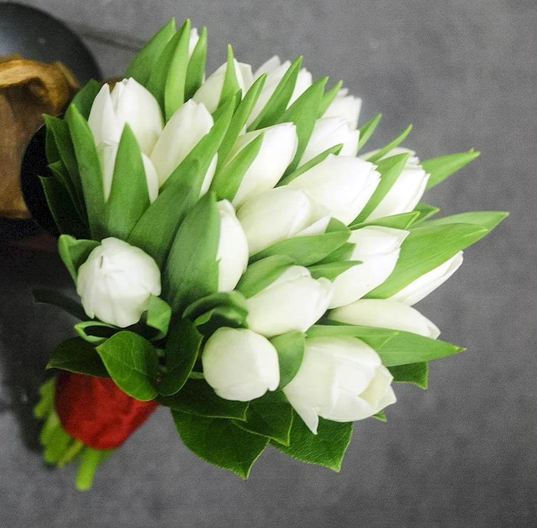 Монобукет из белых тюльпанов