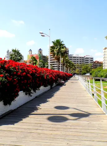 Мост цветов в Валенсии
