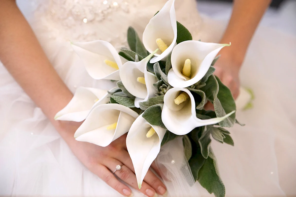 Невеста с каллами образ