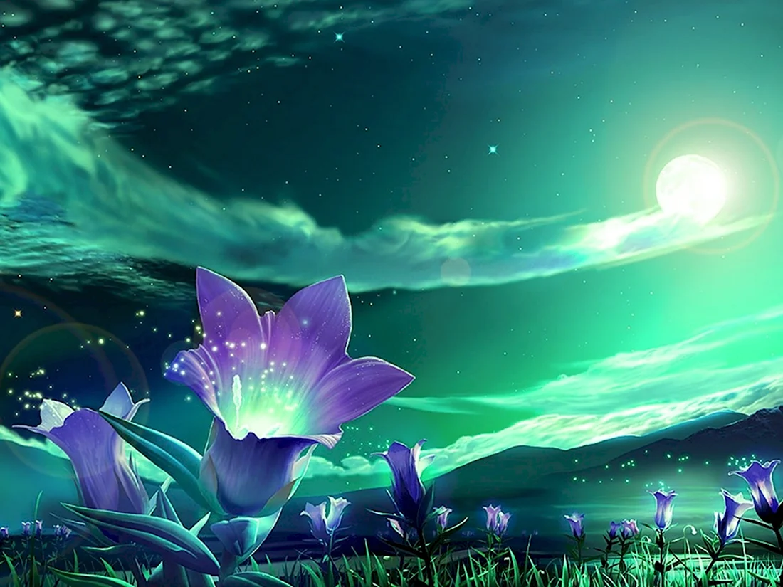 Ночной цветок Луноцвет