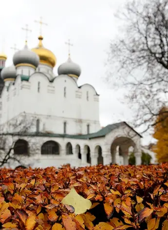 Новодевичий монастырь осень