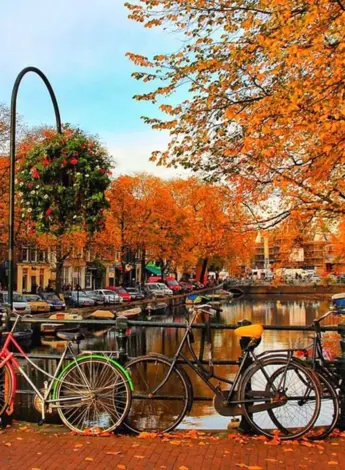 Осень Амстердам Нидерланды