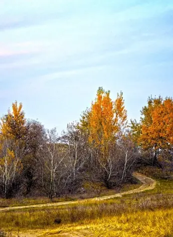 Осень небо